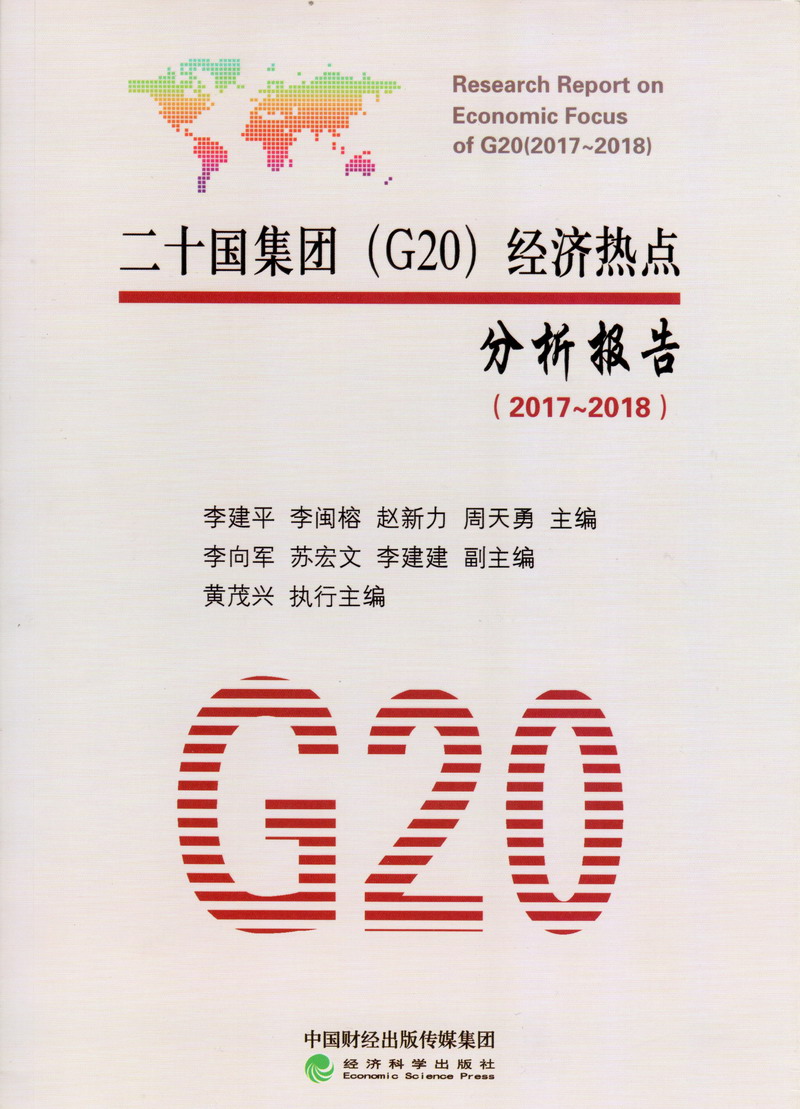 看东北扫操BB片子二十国集团（G20）经济热点分析报告（2017-2018）